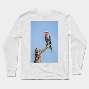 Lilac-breasted roller (Coracias caudatus) Long Sleeve T-Shirt